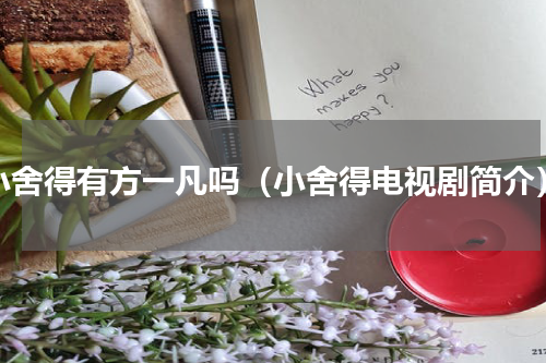 小舍得有方一凡吗（小舍得电视剧简介）