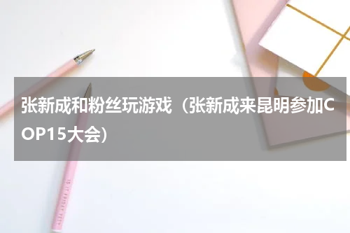 张新成和粉丝玩游戏（张新成来昆明参加COP15大会）
