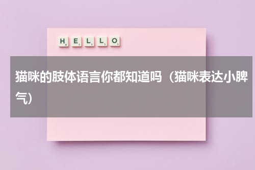 猫咪的肢体语言你都知道吗（猫咪表达小脾气）