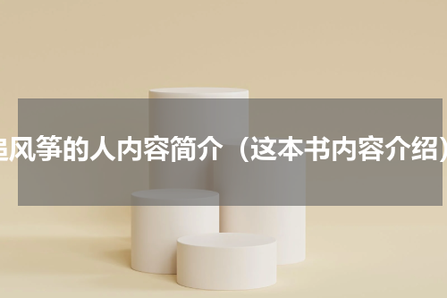 追风筝的人内容简介（这本书内容介绍）
