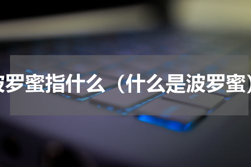 波罗蜜指什么（什么是波罗蜜）