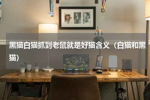 黑猫白猫抓到老鼠就是好猫含义（白猫和黑猫）