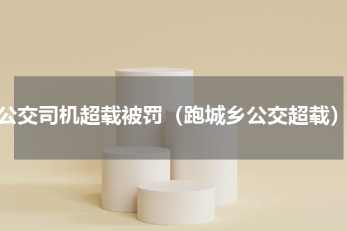 公交司机超载被罚（跑城乡公交超载）