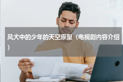 风犬中的少年的天空原型（电视剧内容介绍）