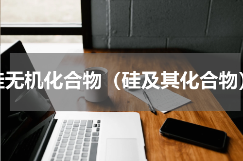 硅无机化合物（硅及其化合物）