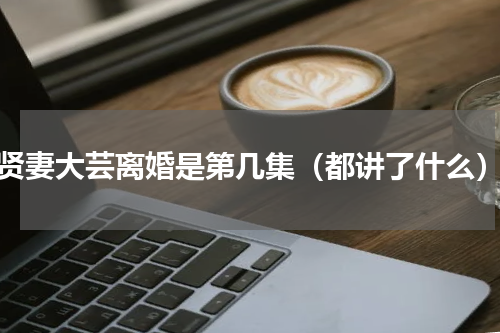 贤妻大芸离婚是第几集（都讲了什么）