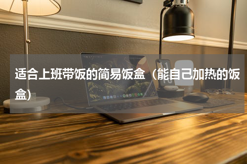适合上班带饭的简易饭盒（能自己加热的饭盒）