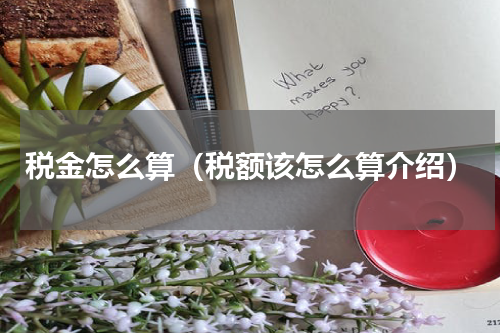 税金怎么算（税额该怎么算介绍）