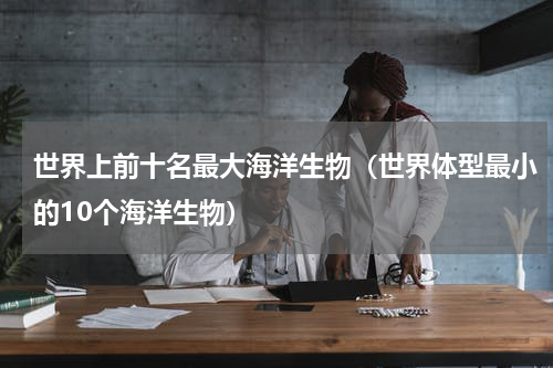 世界上前十名最大海洋生物（世界体型最小的10个海洋生物）