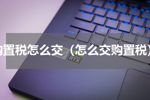 购置税怎么交（怎么交购置税）