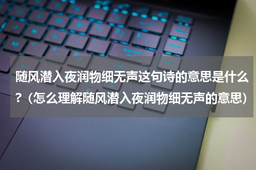 随风潜入夜润物细无声这句诗的意思是什么?（怎么理解随风潜入夜润物细无声的意思）