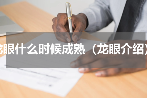 龙眼什么时候成熟（龙眼介绍）
