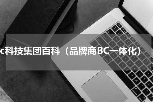 bc科技集团百科（品牌商BC一体化）