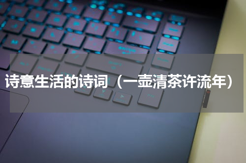 诗意生活的诗词（一壶清茶许流年）