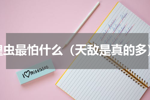 蝗虫最怕什么（天敌是真的多）