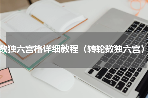 数独六宫格详细教程（转轮数独六宫）