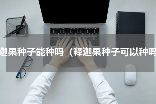 释迦果种子能种吗（释迦果种子可以种吗）