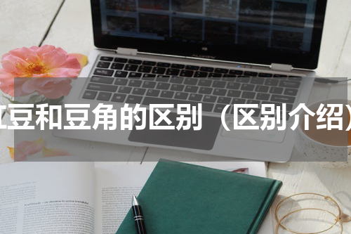 豇豆和豆角的区别（区别介绍）
