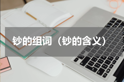钞的组词（钞的含义）