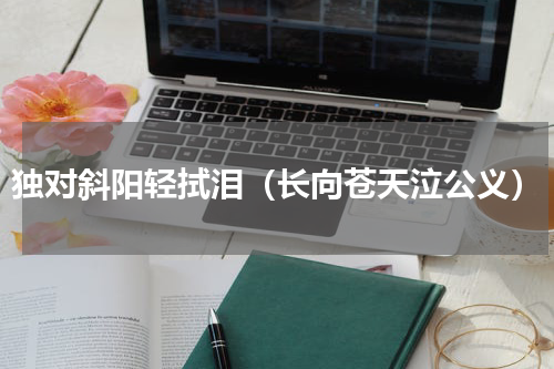 独对斜阳轻拭泪（长向苍天泣公义）
