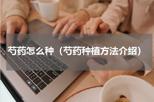 芍药怎么种（芍药种植方法介绍）
