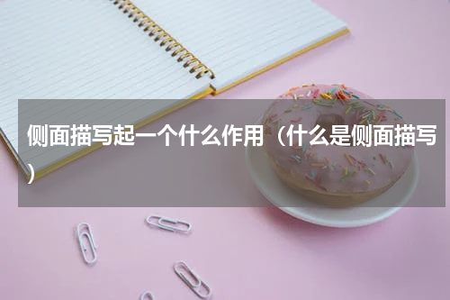 侧面描写起一个什么作用（什么是侧面描写）