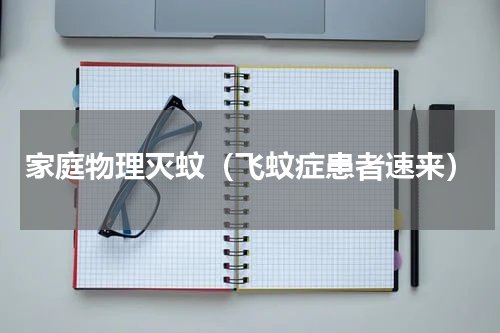 家庭物理灭蚊（飞蚊症患者速来）