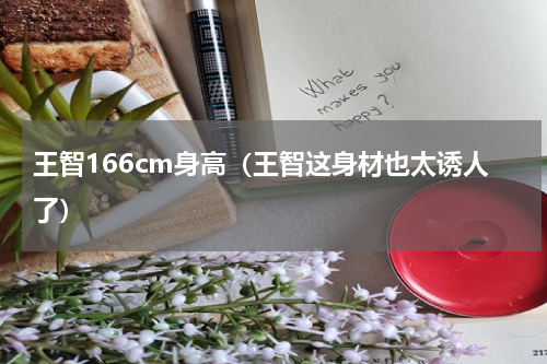 王智166cm身高（王智这身材也太诱人了）