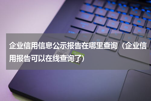 企业信用信息公示报告在哪里查询（企业信用报告可以在线查询了）
