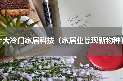 十大冷门家居科技（家居业惊现新物种）