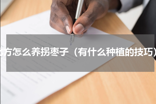 北方怎么养拐枣子（有什么种植的技巧）