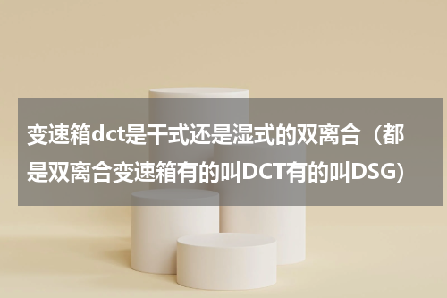 变速箱dct是干式还是湿式的双离合（都是双离合变速箱有的叫DCT有的叫DSG）
