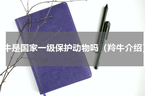 羚牛是国家一级保护动物吗（羚牛介绍）