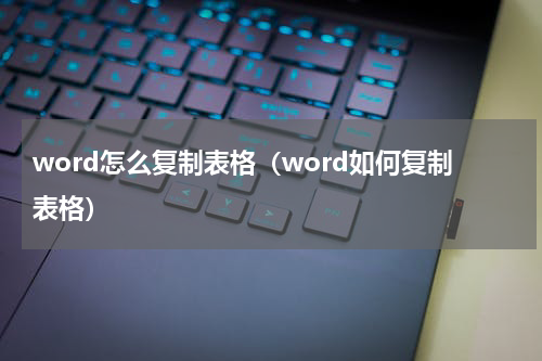 word怎么复制表格（word如何复制表格）