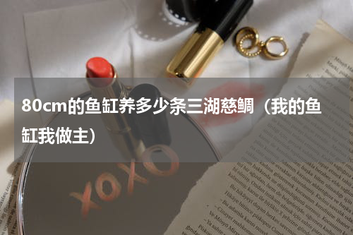 80cm的鱼缸养多少条三湖慈鲷（我的鱼缸我做主）