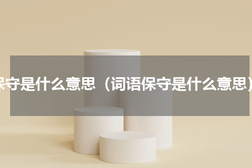 保守是什么意思（词语保守是什么意思）