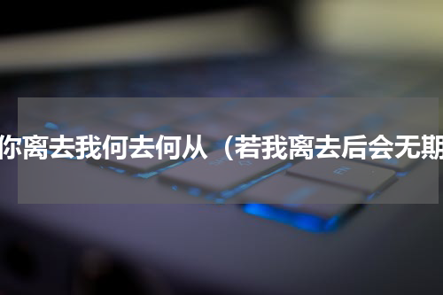 若你离去我何去何从（若我离去后会无期）