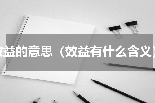 效益的意思（效益有什么含义）