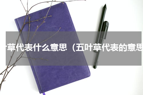 五叶草代表什么意思（五叶草代表的意思）