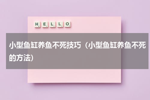 小型鱼缸养鱼不死技巧（小型鱼缸养鱼不死的方法）