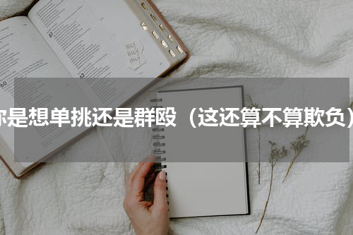 你是想单挑还是群殴（这还算不算欺负）