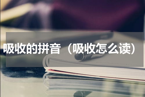 吸收的拼音（吸收怎么读）