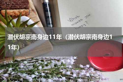 潜伏胡宗南身边11年（潜伏胡宗南身边11年）