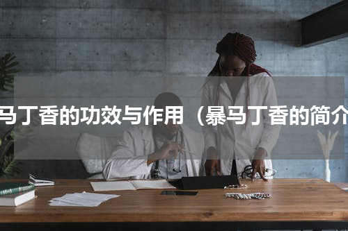 暴马丁香的功效与作用（暴马丁香的简介）