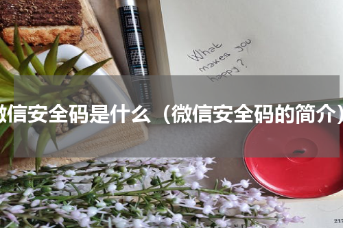 微信安全码是什么（微信安全码的简介）