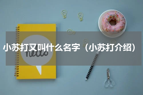 小苏打又叫什么名字（小苏打介绍）