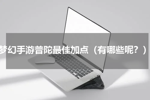 梦幻手游普陀最佳加点（有哪些呢？）