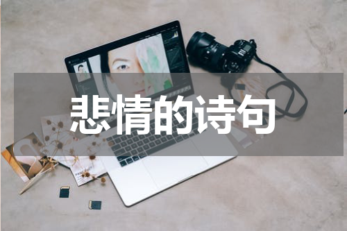 悲情的诗句