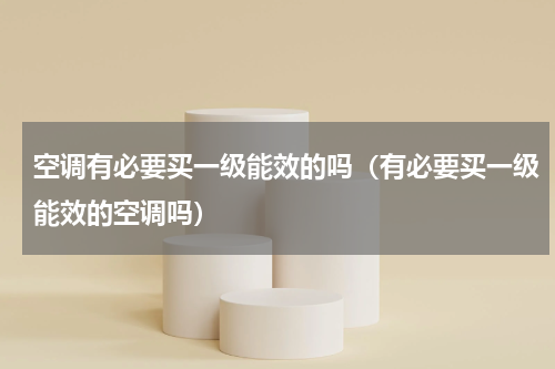 空调有必要买一级能效的吗（有必要买一级能效的空调吗）