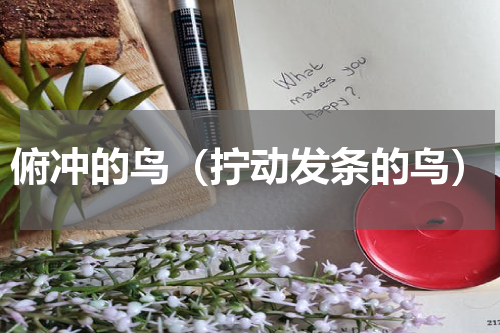 俯冲的鸟（拧动发条的鸟）